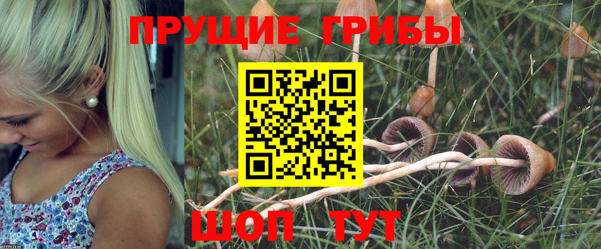 Псилоцибиновые грибы ЛСД Конаково